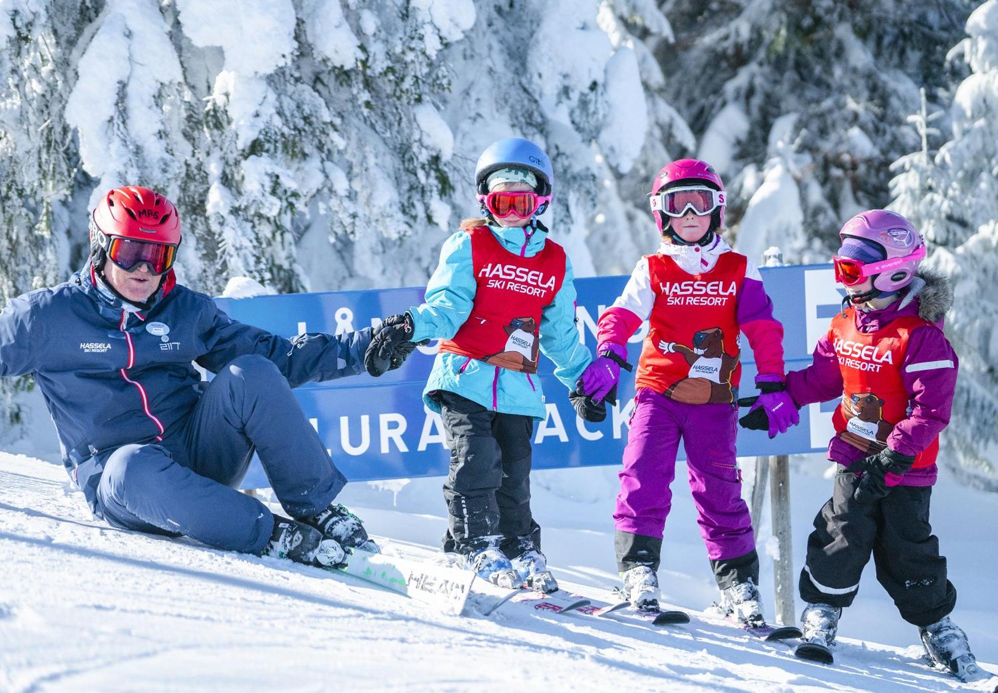 Hassela Ski Resort Dış mekan fotoğraf