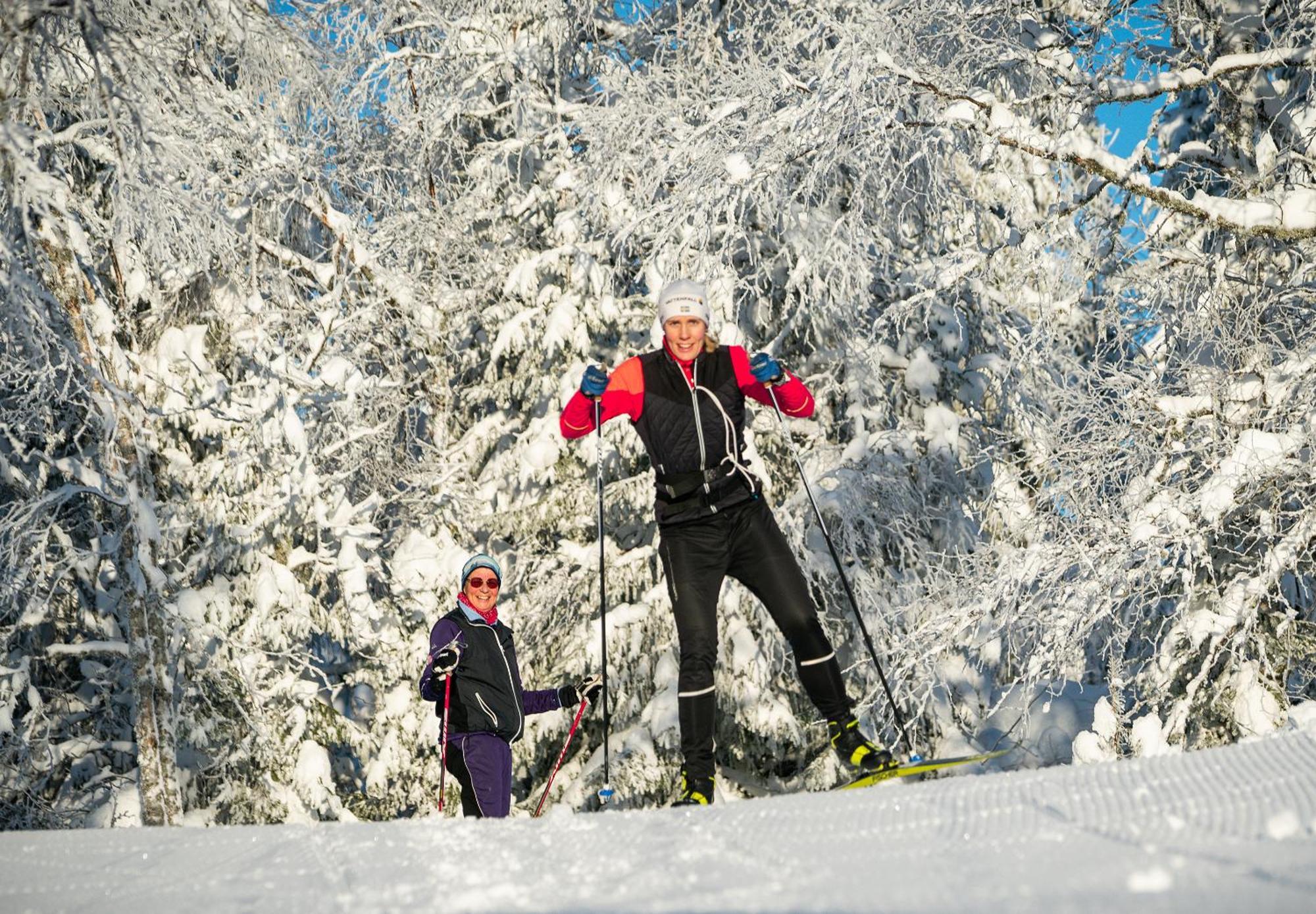 Hassela Ski Resort Dış mekan fotoğraf